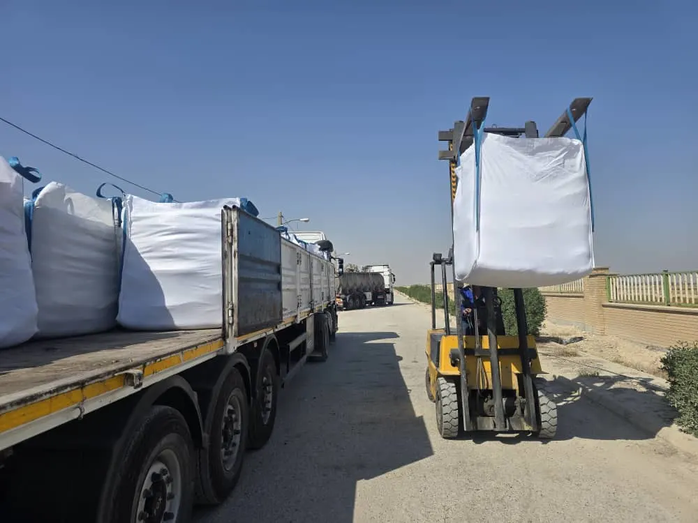 پایداری عملیاتی و مدیریت ریسک در حمل‌ و نقل بندری